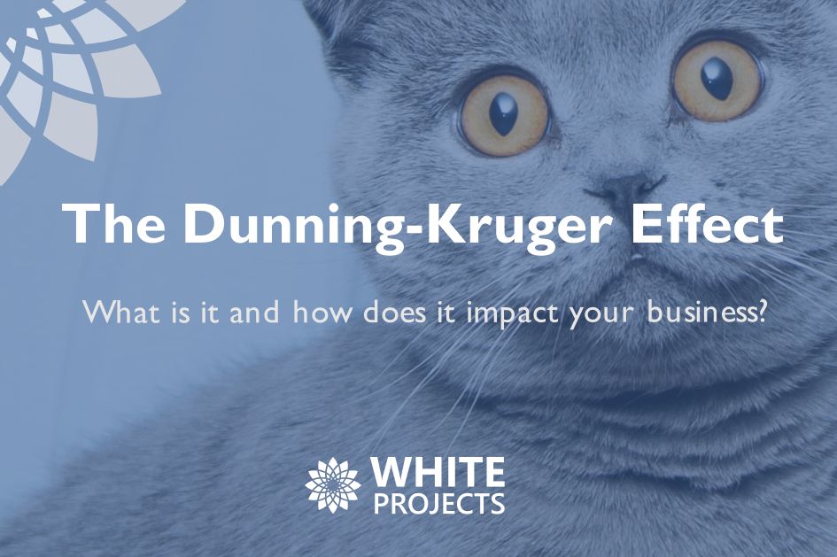 The Dunning-Kruger Effect miniature image