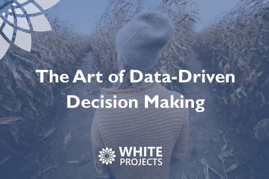 The Art of Data-Driven Decision Making